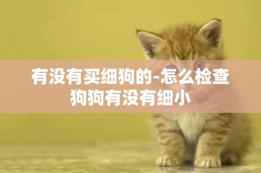 有沒有買細狗的-怎么檢查狗狗有沒有細小