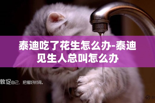 泰迪吃了花生怎么辦-泰迪見生人總叫怎么辦