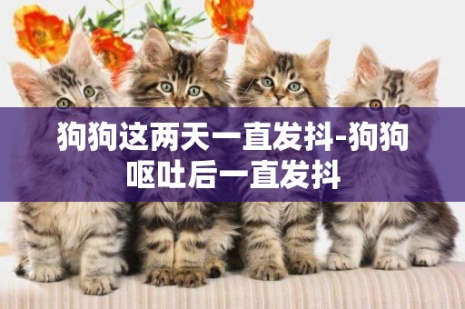 狗狗這兩天一直發抖-狗狗嘔吐后一直發抖