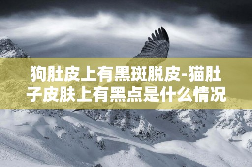 狗肚皮上有黑斑脫皮-貓肚子皮膚上有黑點是什么情況