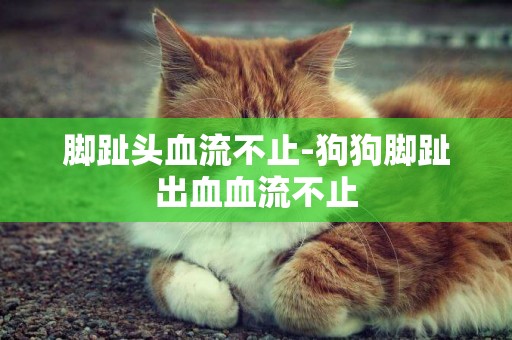 腳趾頭血流不止-狗狗腳趾出血血流不止