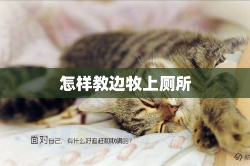 怎樣教邊牧上廁所