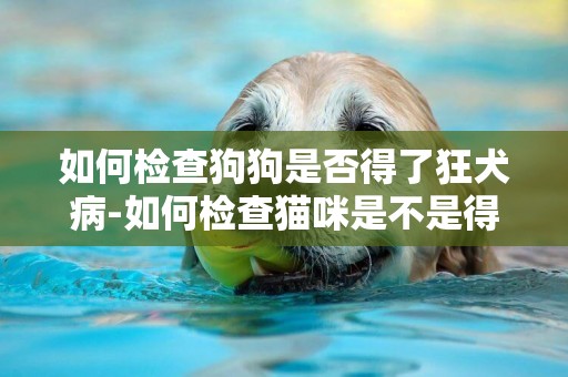 如何檢查狗狗是否得了狂犬病-如何檢查貓咪是不是得了耳螨