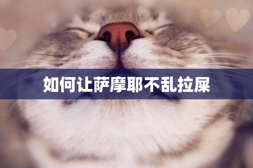 如何讓薩摩耶不亂拉屎