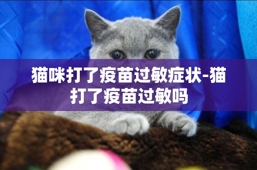 貓咪打了疫苗過敏癥狀-貓打了疫苗過敏嗎