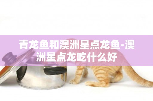 青龍魚和澳洲星點龍魚-澳洲星點龍吃什么好