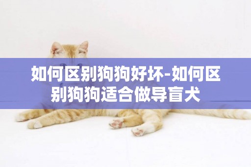 如何區別狗狗好壞-如何區別狗狗適合做導盲犬