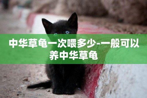 中華草龜一次喂多少-一般可以養中華草龜