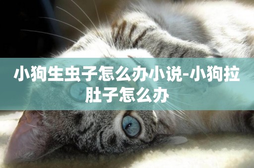 小狗生蟲子怎么辦小說-小狗拉肚子怎么辦