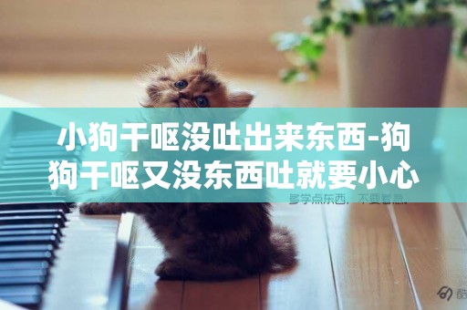 小狗干嘔沒吐出來東西-狗狗干嘔又沒東西吐就要小心了
