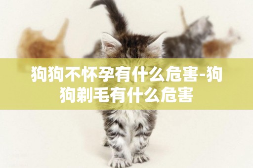 狗狗不懷孕有什么危害-狗狗剃毛有什么危害