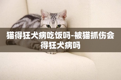 貓得狂犬病吃飯嗎-被貓抓傷會得狂犬病嗎