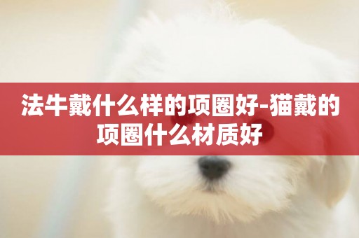 法牛戴什么樣的項圈好-貓戴的項圈什么材質好