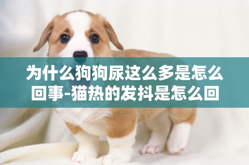 為什么狗狗尿這么多是怎么回事-貓熱的發抖是怎么回事兒