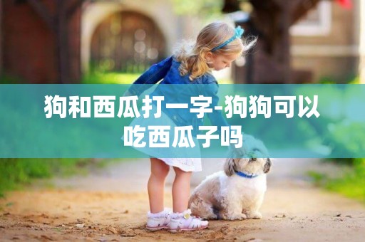 狗和西瓜打一字-狗狗可以吃西瓜子嗎