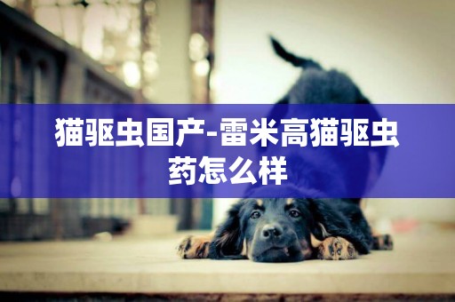 貓驅蟲國產-雷米高貓驅蟲藥怎么樣