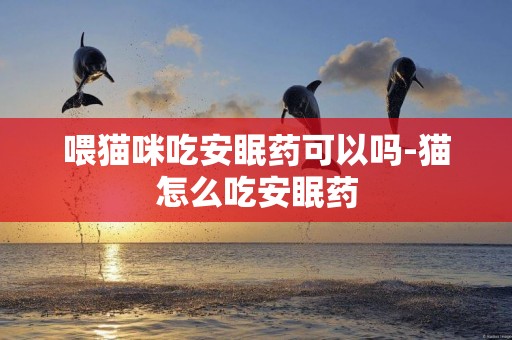喂貓咪吃安眠藥可以嗎-貓怎么吃安眠藥