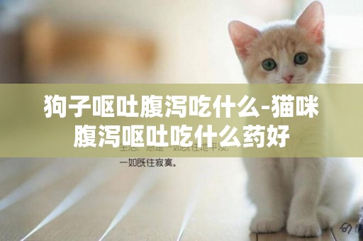 狗子嘔吐腹瀉吃什么-貓咪腹瀉嘔吐吃什么藥好