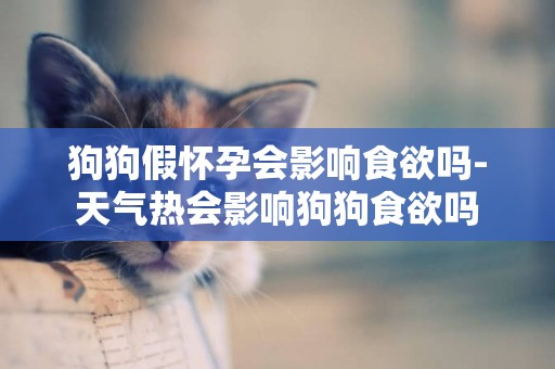 狗狗假懷孕會影響食欲嗎-天氣熱會影響狗狗食欲嗎