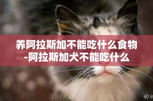 養阿拉斯加不能吃什么食物-阿拉斯加犬不能吃什么