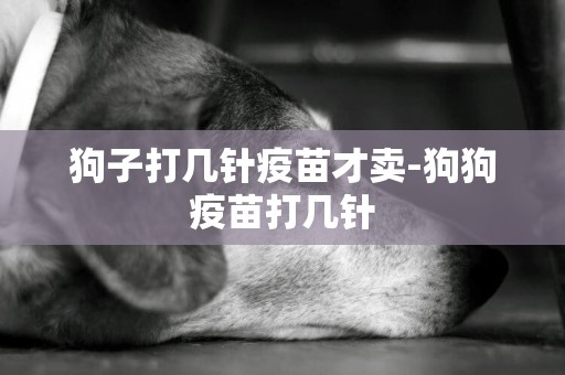 狗子打幾針疫苗才賣-狗狗疫苗打幾針