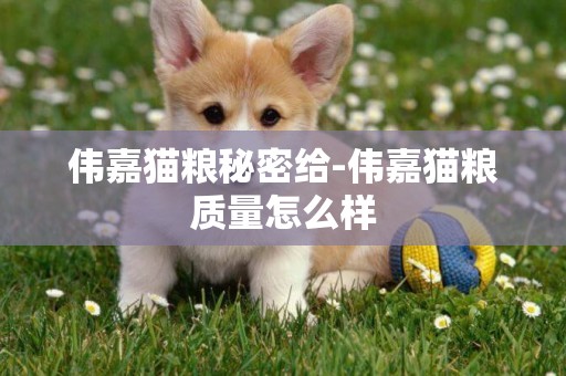 偉嘉貓糧秘密給-偉嘉貓糧質量怎么樣