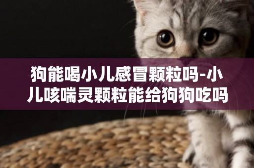 狗能喝小兒感冒顆粒嗎-小兒咳喘靈顆粒能給狗狗吃嗎