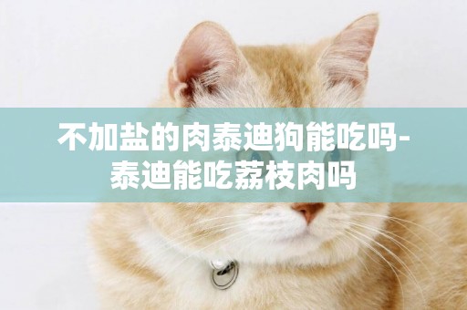 不加鹽的肉泰迪狗能吃嗎-泰迪能吃荔枝肉嗎