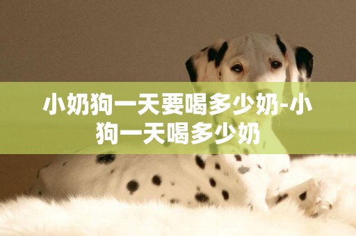 小奶狗一天要喝多少奶-小狗一天喝多少奶