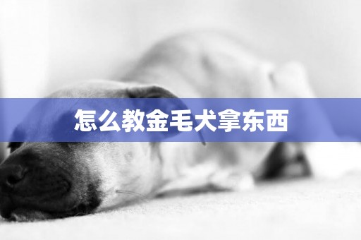 怎么教金毛犬拿東西