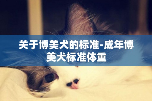 關于博美犬的標準-成年博美犬標準體重