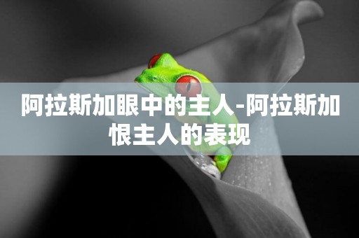 阿拉斯加眼中的主人-阿拉斯加恨主人的表現