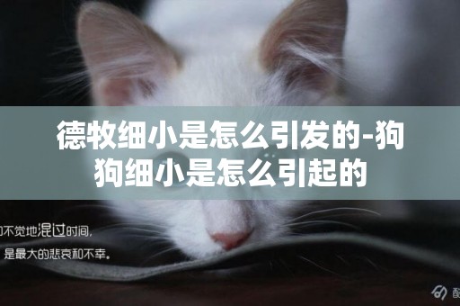 德牧細小是怎么引發的-狗狗細小是怎么引起的