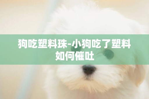狗吃塑料珠-小狗吃了塑料如何催吐