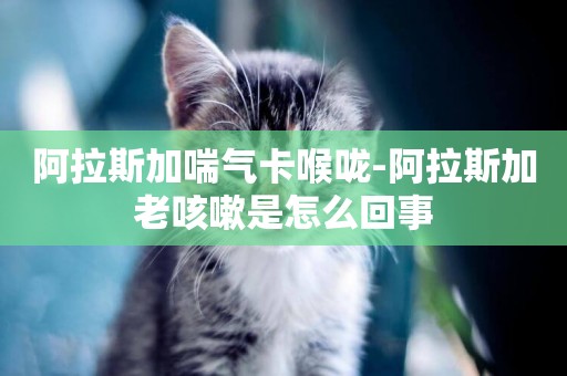 阿拉斯加喘氣卡喉嚨-阿拉斯加老咳嗽是怎么回事