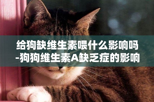 給狗缺維生素喂什么影響嗎-狗狗維生素A缺乏癥的影響