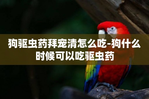 狗驅蟲藥拜寵清怎么吃-狗什么時候可以吃驅蟲藥