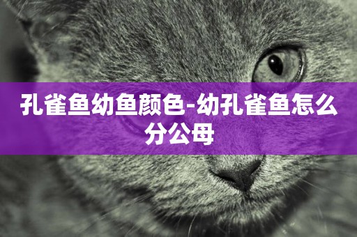 孔雀魚幼魚顏色-幼孔雀魚怎么分公母