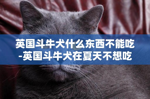 英國斗牛犬什么東西不能吃-英國斗牛犬在夏天不想吃東西該怎么辦