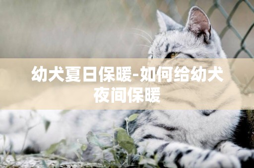 幼犬夏日保暖-如何給幼犬夜間保暖