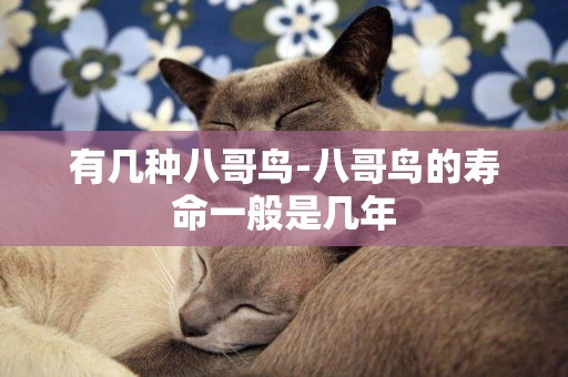 有幾種八哥鳥-八哥鳥的壽命一般是幾年