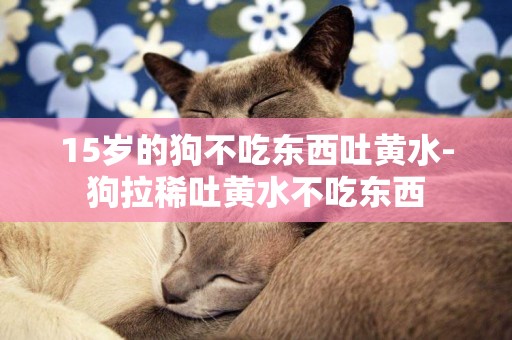 15歲的狗不吃東西吐黃水-狗拉稀吐黃水不吃東西