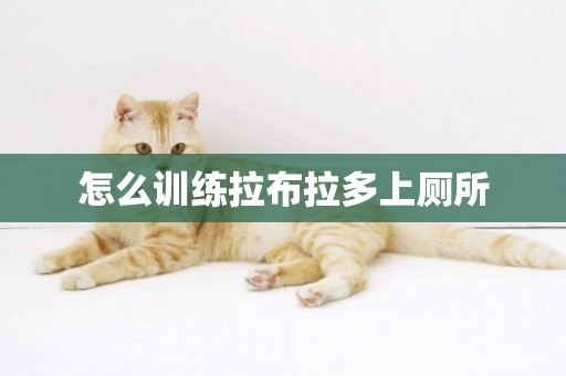 怎么訓練拉布拉多上廁所