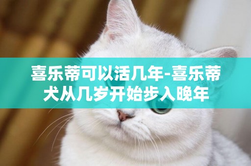 喜樂蒂可以活幾年-喜樂蒂犬從幾歲開始步入晚年