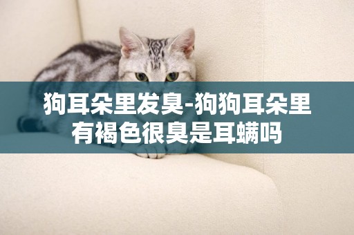 狗耳朵里發臭-狗狗耳朵里有褐色很臭是耳螨嗎