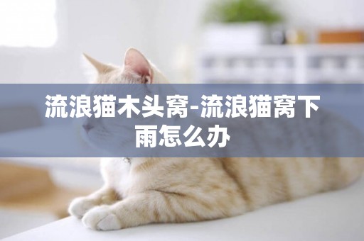 流浪貓木頭窩-流浪貓窩下雨怎么辦