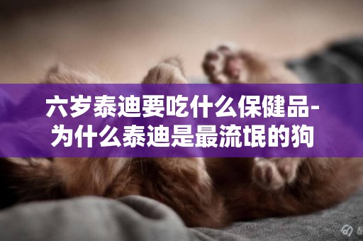 六歲泰迪要吃什么保健品-為什么泰迪是最流氓的狗