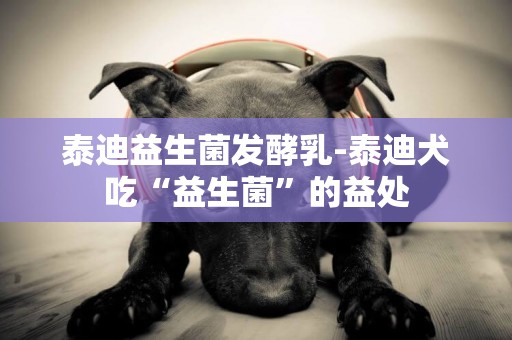 泰迪益生菌發酵乳-泰迪犬吃“益生菌”的益處