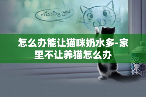 怎么辦能讓貓咪奶水多-家里不讓養貓怎么辦