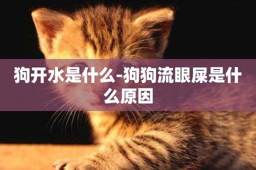 狗開水是什么-狗狗流眼屎是什么原因